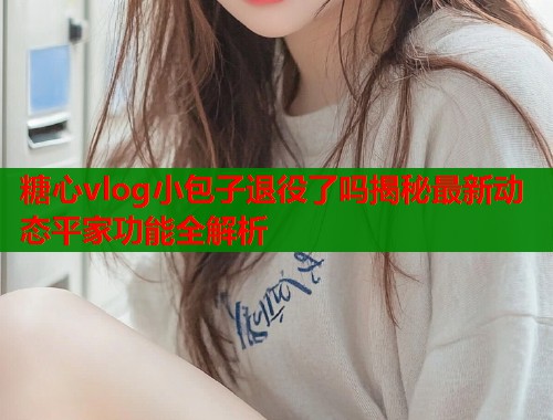 糖心vlog小包子退役了吗揭秘最新动态平家功能全解析